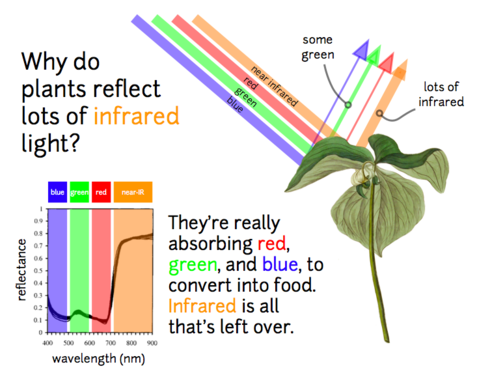 i-9da3db366fa0ce9c91d87297f2098939-PublicLab_Infrared2.png